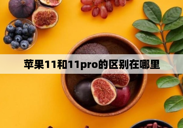 苹果11和11pro的区别在哪里