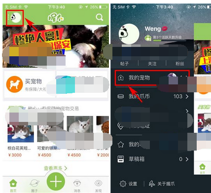 握爪宠物app添加宠物的操作流程截图