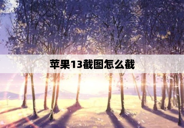 苹果13截图怎么截