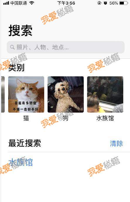 iOS12是什么梗？相册搜索功能找出！