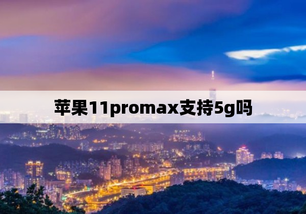 苹果11promax支持5g吗