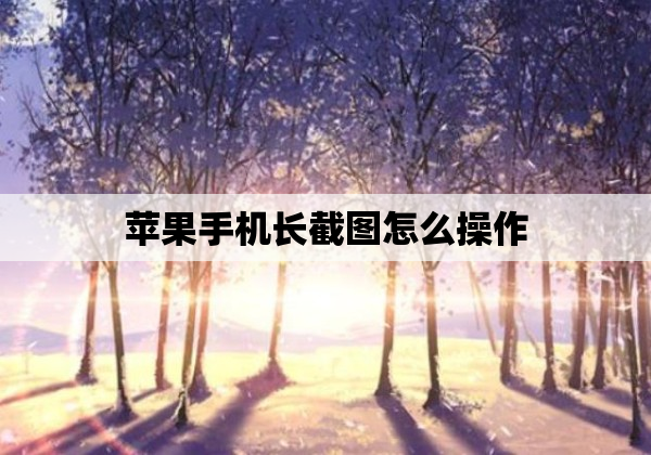 苹果手机长截图怎么操作