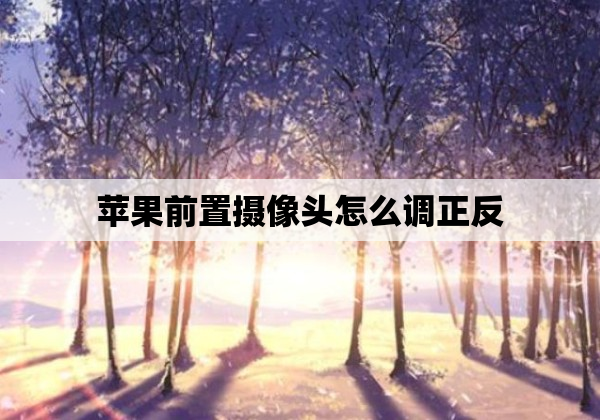 苹果前置摄像头怎么调正反