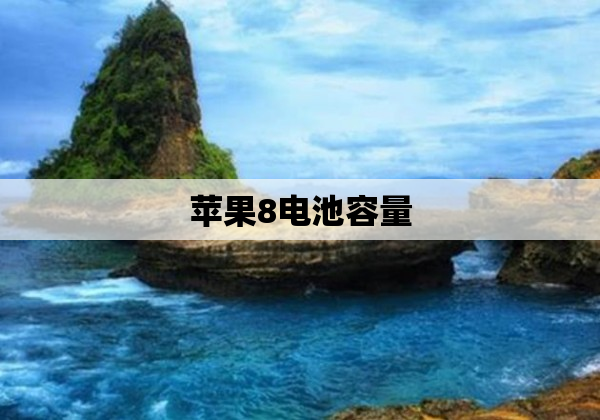 苹果8电池容量