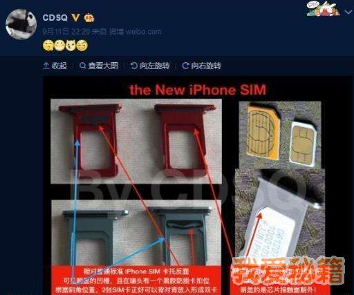 iPhone九月份新机SIM卡托介绍