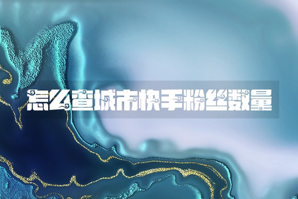 怎么查城市快手粉丝数量