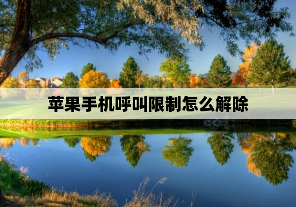 苹果手机呼叫限制怎么解除