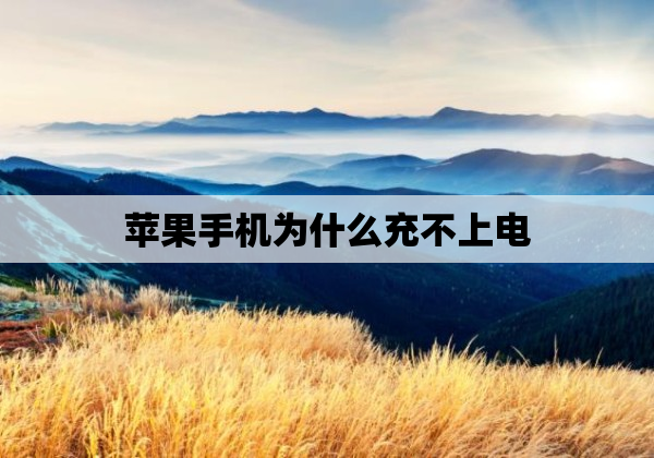 苹果手机为什么充不上电