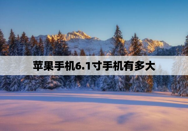 苹果手机6.1寸手机有多大