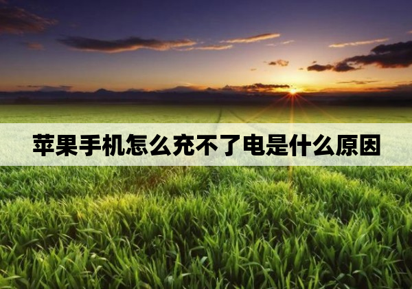 苹果手机怎么充不了电是什么原因