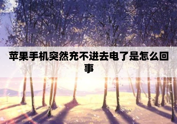 苹果手机突然充不进去电了是怎么回事