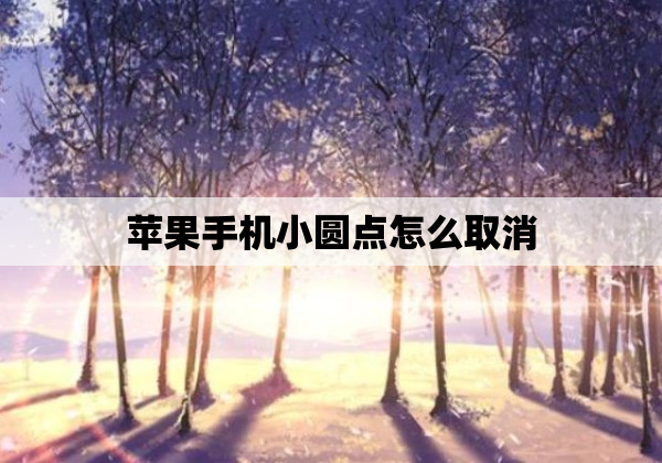 苹果手机小圆点怎么取消