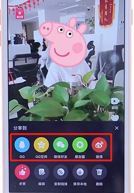在微视里分享有趣视频的操作流程截图