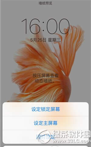 iphone6s动态壁纸不动怎么办 苹果6s动态壁纸动不了解决方法