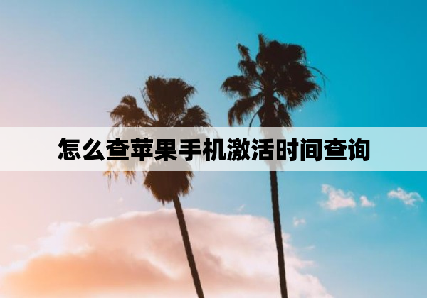 怎么查苹果手机激活时间查询