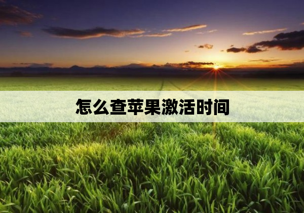 怎么查苹果激活时间