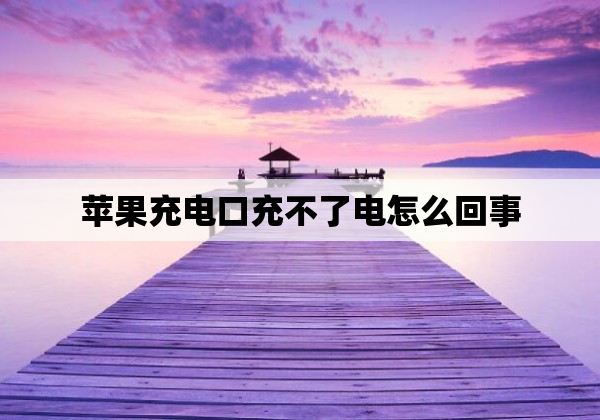 苹果充电口充不了电怎么回事