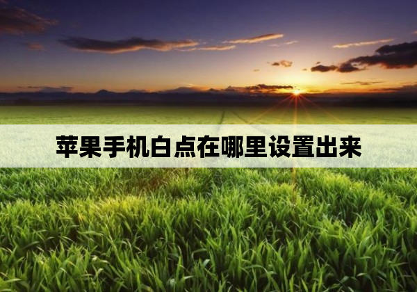 苹果手机白点在哪里设置出来