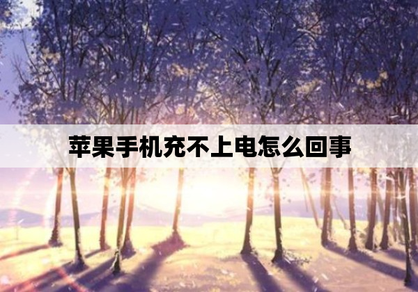 苹果手机充不上电怎么回事