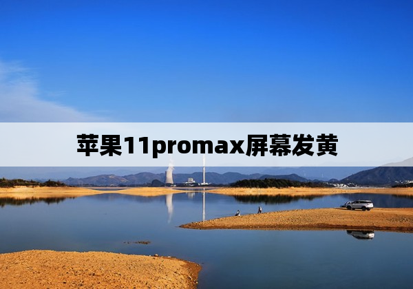 苹果11promax屏幕发黄