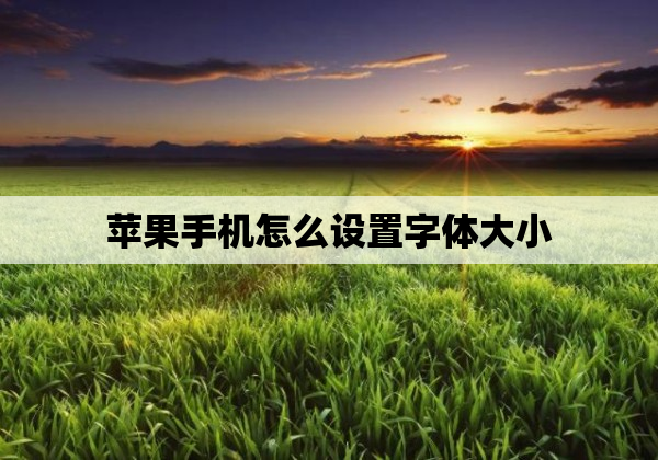 苹果手机怎么设置字体大小