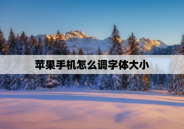 苹果手机怎么调字体大小