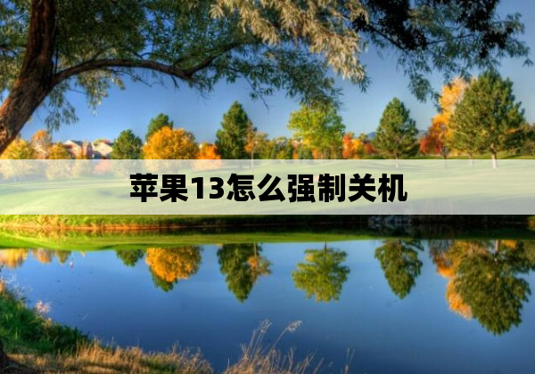 苹果13怎么强制关机