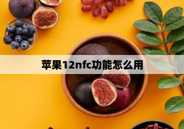 苹果12nfc功能怎么用