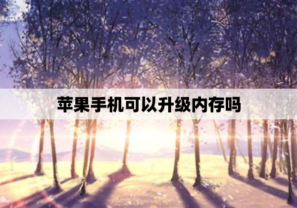 苹果手机可以升级内存吗