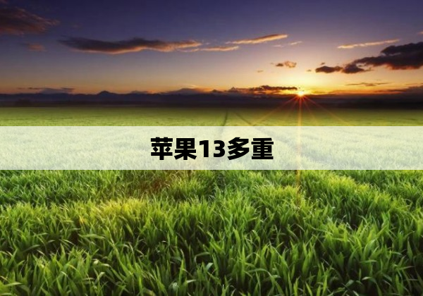 苹果13多重