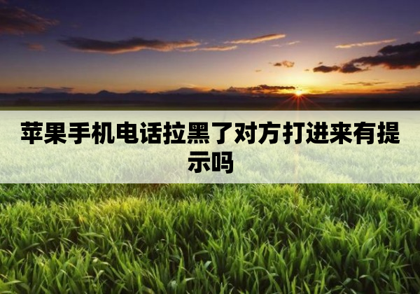 苹果手机电话拉黑了对方打进来有提示吗