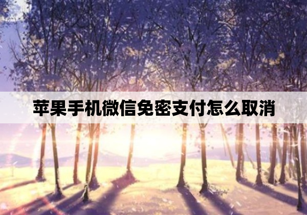 苹果手机微信免密支付怎么取消