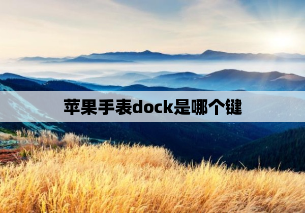 苹果手表dock是哪个键