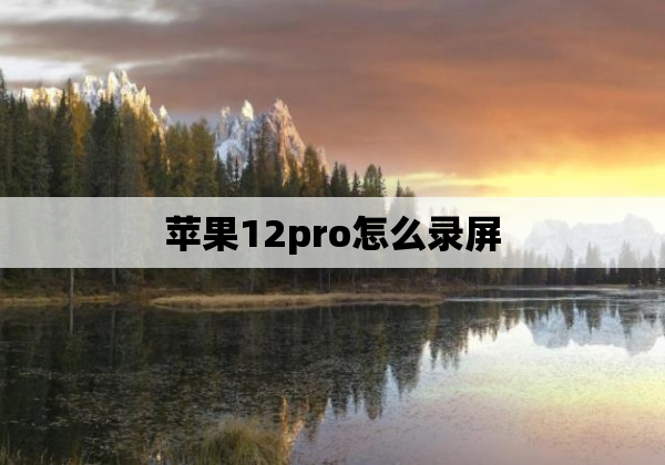 苹果12pro怎么录屏