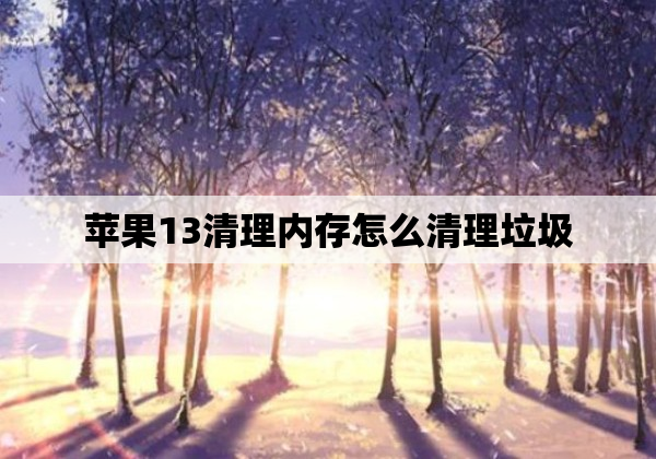 苹果13清理内存怎么清理垃圾