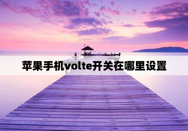 苹果手机volte开关在哪里设置