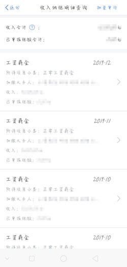 《个人所得税》如何查询工资明细？