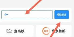 飞常准怎么查别人航班 飞常准航班信息查询方法分享