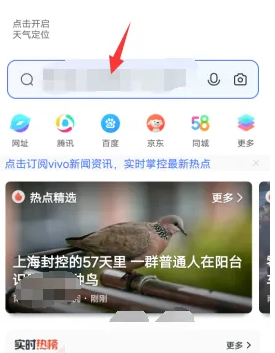 vivo手机浏览器怎么查看浏览记录 vivo浏览器浏览记录查看方法步骤