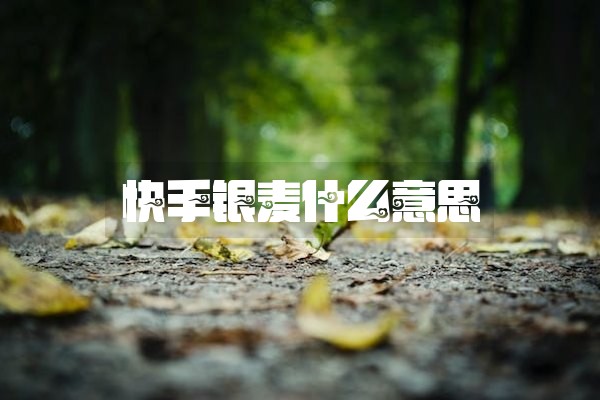 快手银麦什么意思