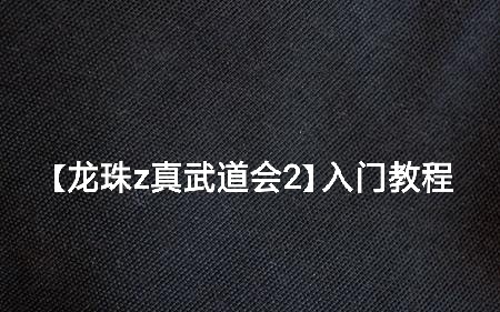 龙珠z真武道会2怎么瞬移 王者荣耀什么英雄最强