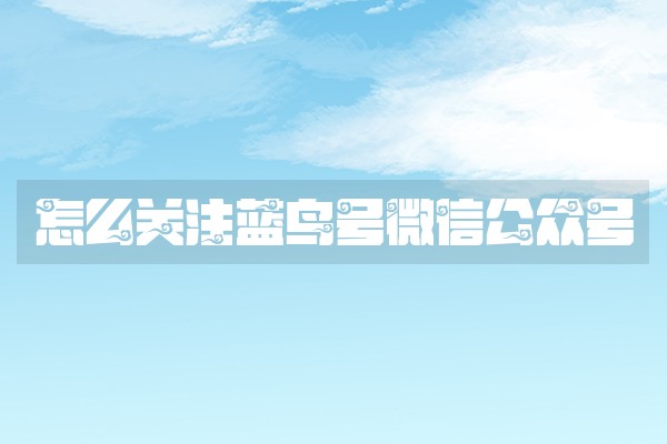 怎么关注蓝鸟号微信公众号