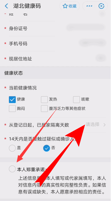 支付宝湖北健康码打卡申请方法介绍截图
