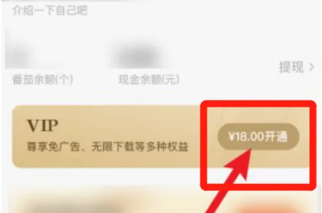 番茄畅听怎么办会员 番茄畅听办理会员的方法