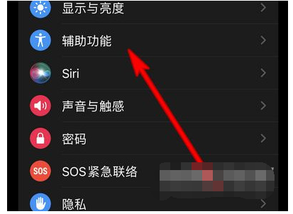 AppleWatchSeries7手势操作怎么设置