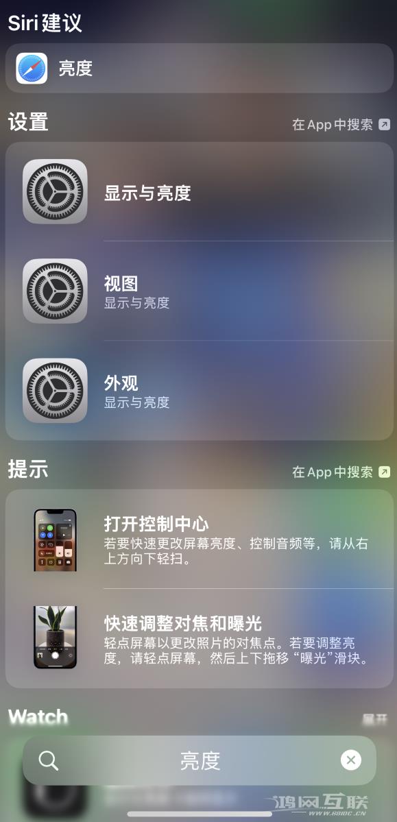 iOS  16 为“搜索”功能增加新入口，ios16搜索怎么关闭？插图3