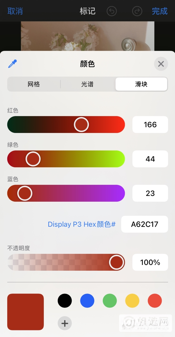 iPhone  12 如何在照片上涂鸦？