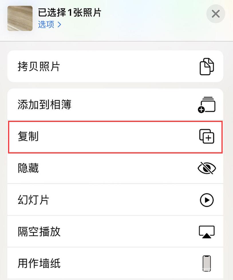 如何将 Live  Photo  保存为静态照片？插图3