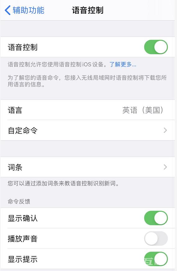 小技巧：通过“语音控制”解锁 iPhone