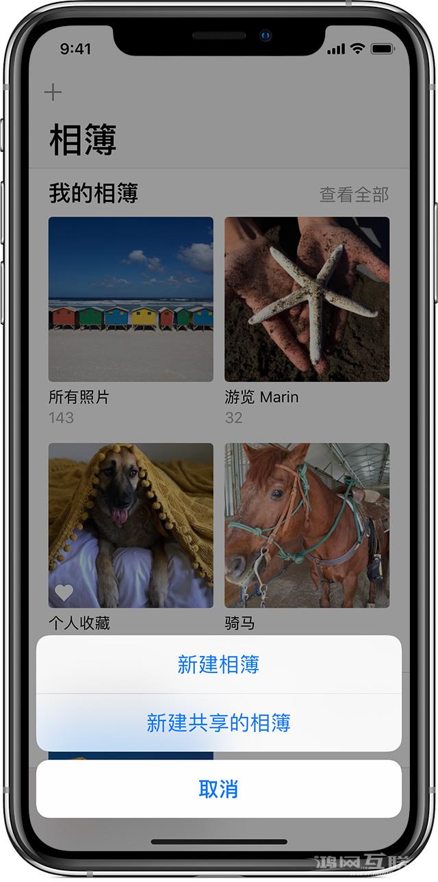 iPhone  如何创建和管理共享相簿？插图3